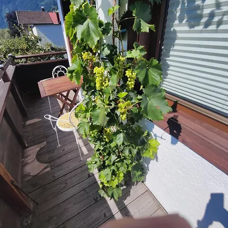 Apartment Reiter